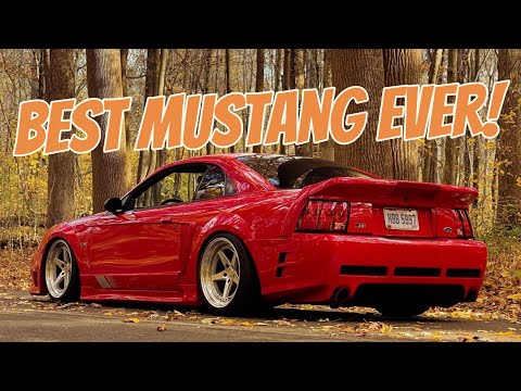Here's why the Sn95 Mustang is the best Mustang EVER!