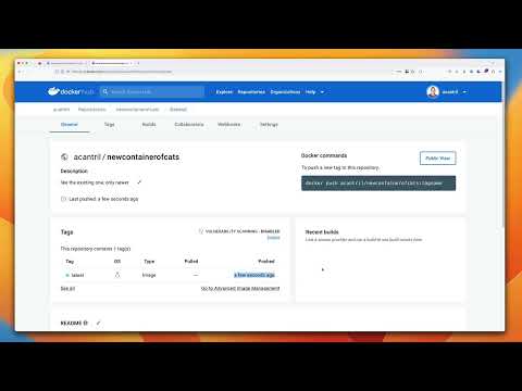 Free Docker Fundamentals Course - [DEMO] Uploading our application to docker hub