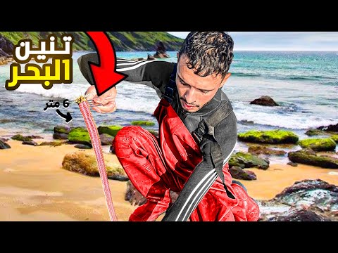 الحياة البرية:تحدي أكل أكبر دود😱في العالم تنين 🐉 البحر الصيد وطبخ