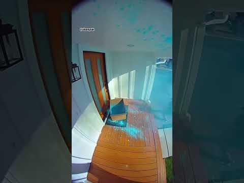 Porch Pirate Instant Regrets