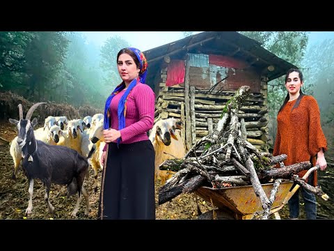 Nomadic Lifestyle of Iran : Cooking traditional Dish & taking care of the village animals