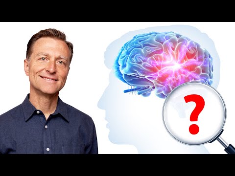 Why the #1 Best Brain Food to Boost Memory & Focus is SALMON