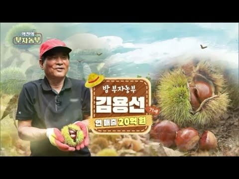[166회] 밤 굴러가유~! 연 매출 20억!!! '충남 공주시 김용선 부자농부'