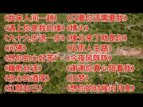 深情催泪我来人间一趟九十九步退一步伤心的酒吧红颜知己