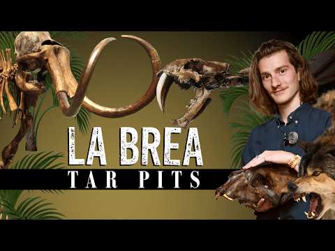 Inside The Worlds Most Unusual Fossil Site - The La Brea Tar Pits (Feat. Lindsay Nikole)