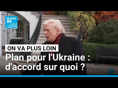 Plan de paix pour l'Ukraine : d'accord sur quoi ? • FRANCE 24