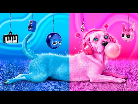 J'ai Sauvé un Chien Sans Abri! Nous Construisons une Pièce Secrète pour les Animaux! Bleu Ou Rose