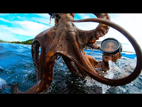 深海捕捉巨大的章鱼，一次捕捞几千斤，记录捕鱼和养殖的神奇过程