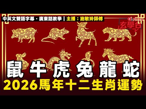 【足本下集】施敏玲2026丙午年十二生肖馬年運程（鼠 牛 虎 兔 龍 蛇）︱桃花運、財運、貴人運、人緣運、事業運、健康運 詳講︱#焦點玄學台