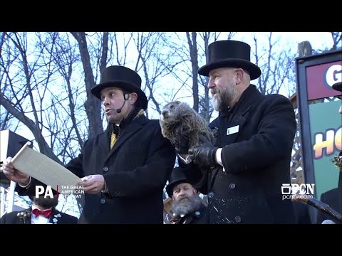 Punxsutawney Phil: Six more weeks of winter