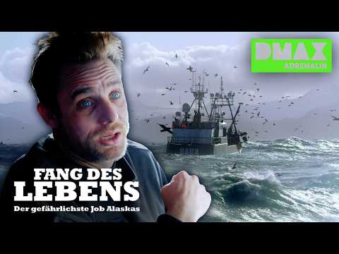 KRIEG der KAPITÄNE! Lügen und Verrat auf See 😱🦀 | COMPILATION | Fang des Lebens