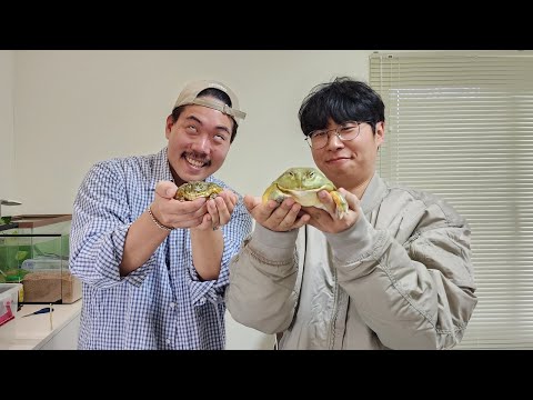 합의결혼 시키려고 유튜버 집에 찾아갔는데...생물들 상태가..