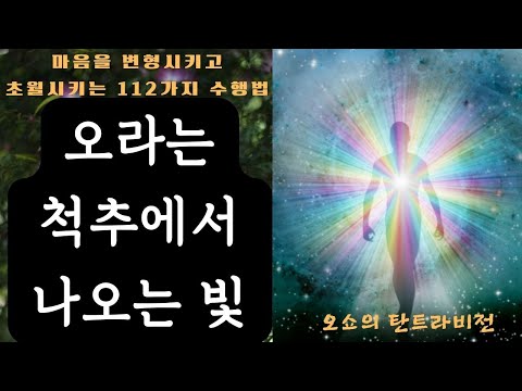 탄트라비전1(오쇼)(3)- 척추 신경 속에 에너지의 코드가 들어있으며 그것을 통해서 보이지 않는 존재계와 연결되어 있기에 그대의 의식이 척추의 중심에 머무를 때 변형이 일어난다.