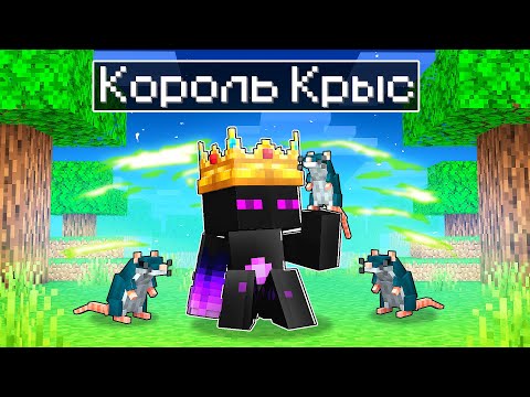 ✅ РАЙМ Стал КОРОЛЕМ КРЫС в Майнкрафт!