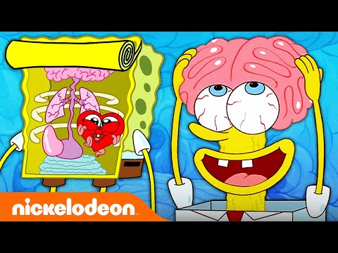 Every Time We See SpongeBob's Insides 🧠 | Nicktoons
