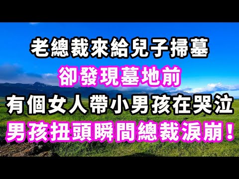 老總裁來給兒子掃墓，卻發現墓地前有個女人帶小男孩在哭泣，男孩扭頭瞬間老總裁淚崩！#爽文#大女主#現實情感#家庭
