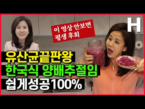 양배추절임 유산균폭탄 김치발효비법 접목 성공100%보장!