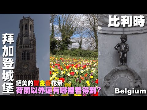鬱金香花海除了荷蘭以外這裡也看得到?來一趟比利時絕景之旅 ~ 荷比盧旅遊 ~布魯日鐘樓｜ 拜加登城堡｜ 布魯塞爾廣場｜尿尿小童｜布魯塞爾聖赫伯特拱廊  Belgium