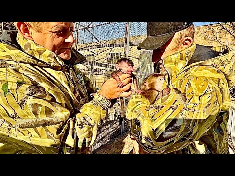 Never happened before and HERE IT IS AGAIN! Mother flatly refuses to feed little Nicole!!!