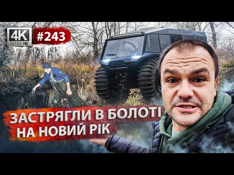 Клуб на болоті🐸Проблеми з заявками🆘Нюанси київських доріг🚘