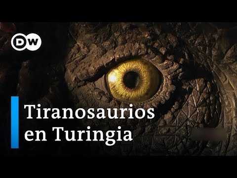El pueblo de los saurios | DW Documental