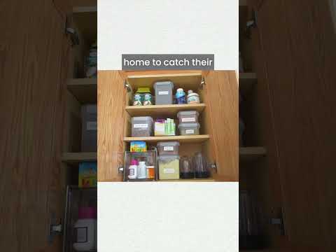 The Real Reason You're Struggling to Stay Organized (And How to Fix It)