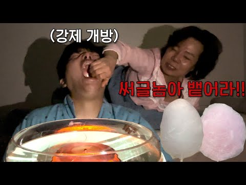 조재원 죽음의 ASMR 33탄 [솜사탕 만들기 대작전] With. Cotton Candy