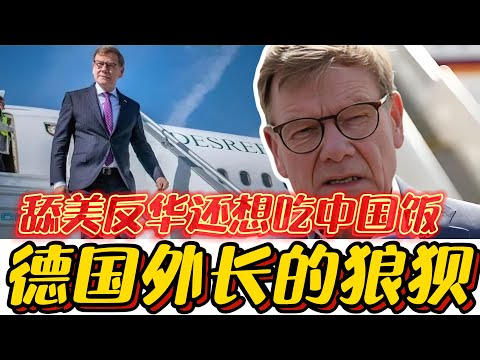 German FM: US appeasement, anti-China stance, yet wants Chinese trade.