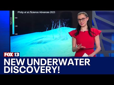 New discovery along the Cascadia Subduction Zone