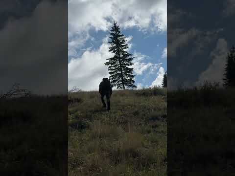 I Rucked All Year for Elk Shape and my 14yr Old Still Smoked Me