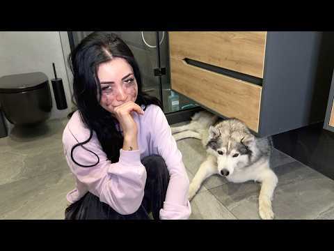 We're Being Bombed! Lera is CRYING, the Dogs are Scared!