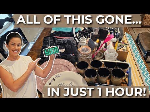Speed Decluttering Challenge: Can I Get Rid of 120 items in JUST ONE HOUR?