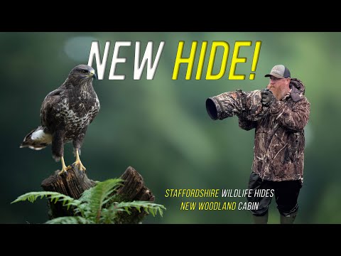 Staffordshire Wildlife Hides Latest Hide! Is this the best reflection pool in the World?