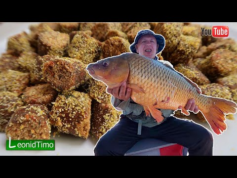 Лучшего Теста для ловли Карпа и Карася пока не Существует 🐟 РЕЦЕПТ
