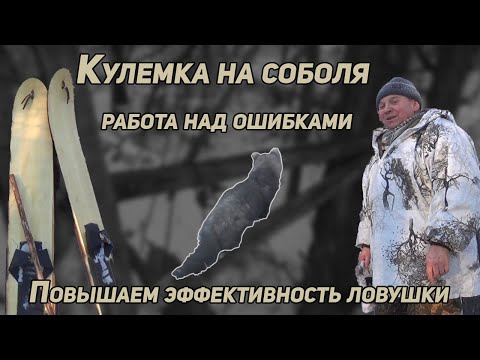 Продвинутая капканная охота: как повысить результативность ловушки в суровой тайге