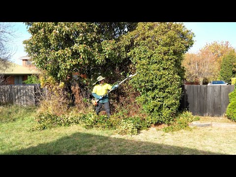 The Impossible Cleanup | Resident called me Sunday needed the job done by Tuesday!