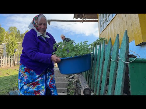 60 Years of Love in the Mountains: Inspiring Village Life of an Elderly Couple 🏔️❤️‍🩹