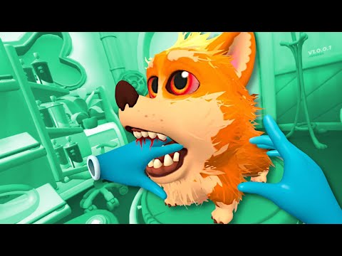 I Got BITTEN by a Sick Puppy in VR! - Pets & Stuff VR