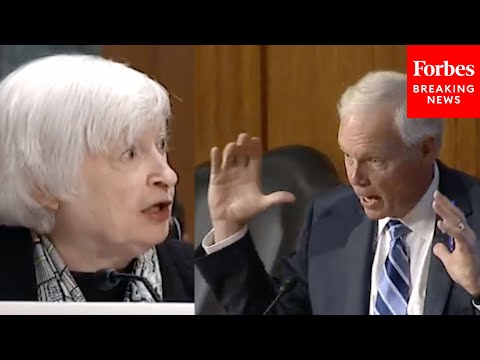 'You Don't Know That Off The Top Of Your Head?': Ron Johnson Hammers Janet Yellen With Questions