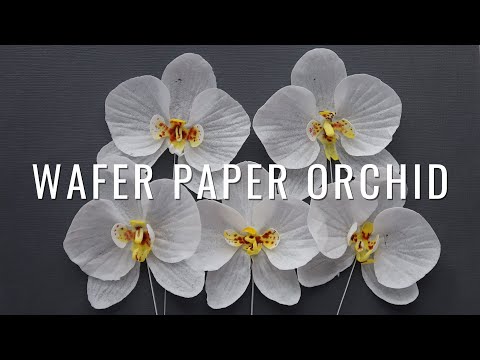 Easy Wafer Paper Orchids Anyone Can Make