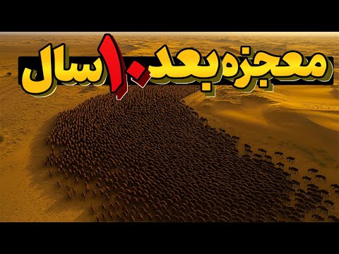 مکزیک ۲۳ گاومیش آمریکایی رو توو بیابان رها کرد | این معجزه ایست که پس از ۱۰ سال رخ داد