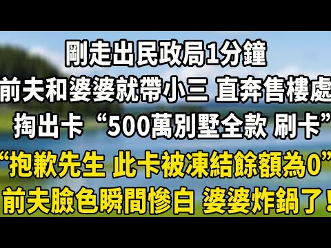 剛走出民政局1分鐘，前夫和婆婆就帶小三 直奔售樓處，掏出卡“500萬別墅全款 刷卡”“抱歉先生 此卡已被凍結餘額為0”前夫臉色瞬間慘白 婆婆炸鍋了！#翠花的秘密 #小說聽書 #養老生活