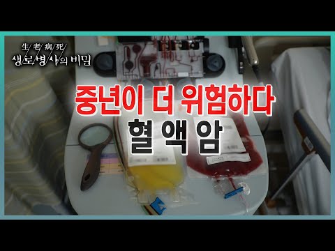 📌방송 하이라이트📌 더이상 희귀하지도, 불치의 병이 아닌 혈액암. 나이 들수록 더 위험하지만 감기나 피부병, 변비로 초기증상을 놓칠 수 있다는데...(KBS 20230510 방송)