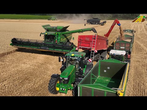Großeinsatz Weizenernte 2022 - 4 Mähdrescher Fendt, Claas, JD Traktoren Landwirtschaft Wheat Harvest
