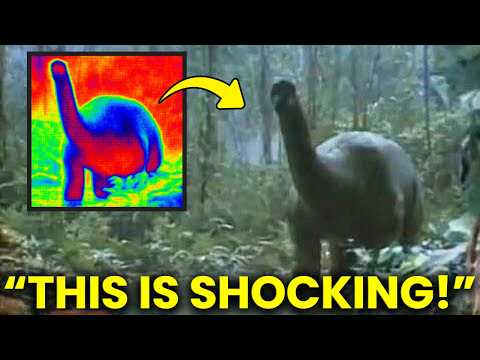 The Mokele Mbembe Is Real… And It Is Much Worse Than We Ever Imagined