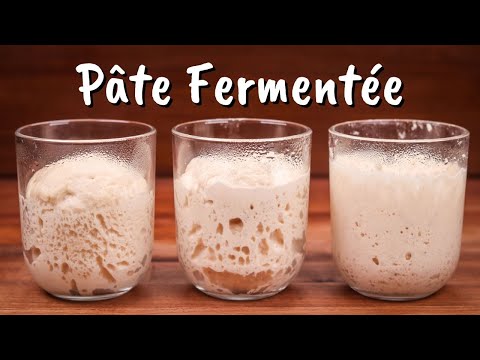 How to Use Pâte Fermentée (Old Dough) | Full Detailed Pre-ferment Guide
