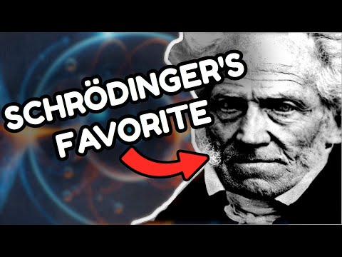 Why Quantum Physicists Love Schopenhauer