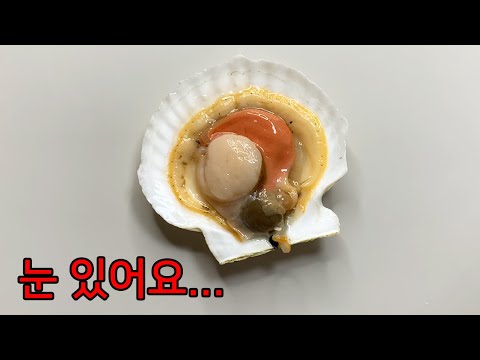 Things You Didn't See in Scallops - Scallop Anatomy