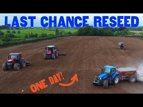 Racing the Rain: Last Reseed of 2025 – All in One Day!