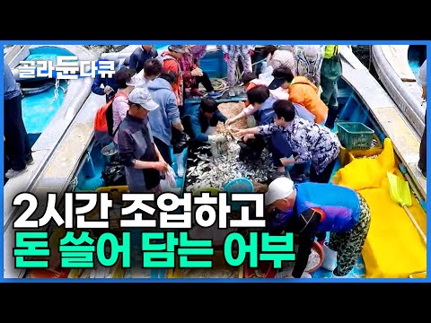 인적 드문 갯골에 배 한 척 들어오더니... 돈을 쓸어 담는다ㅣ설 자리 없어요 눈치싸움 끝에 얻어낸 명당자리ㅣ한국기행│#골라듄다큐